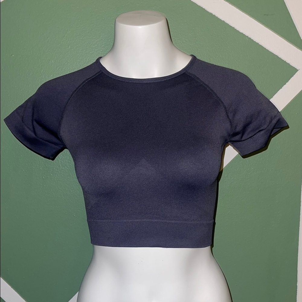 Gray Fitted Crop Top with Crew Neck and Cap Sleeves